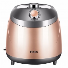 海尔（Haier）挂烫机 2.5L 单杆10档 家用手持/挂式电熨斗HGS-2510