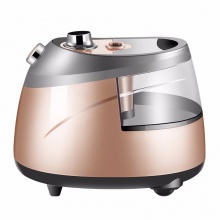 海尔（Haier）挂烫机 2.5L 单杆10档 家用手持/挂式电熨斗HGS-2510