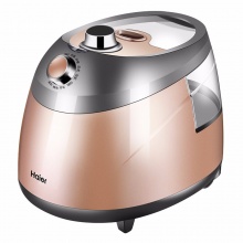 海尔（Haier）挂烫机 2.5L 单杆10档 家用手持/挂式电熨斗HGS-2510