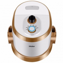海尔（Haier）挂烫机 2L 双杠6档 家用手持/挂式电熨斗HY-GS2006G