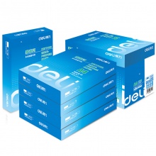 得力（deli） 7419 莱茵河复印纸 80g A4   500张/包 单包