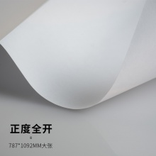 森森纸业 全开大张白纸 120g 787*1092 10张/包